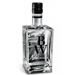 BAYSWATER LONDON DRY 70 CL.